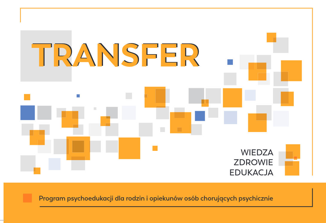 Read more about the article Nasza nowa publikacja – broszura Transfer